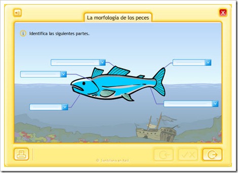 Morfología de los peces