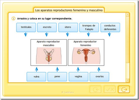 Aparatos_reproductores