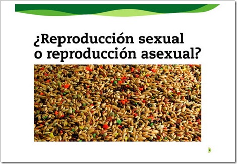 Reproducción sexual-asexual