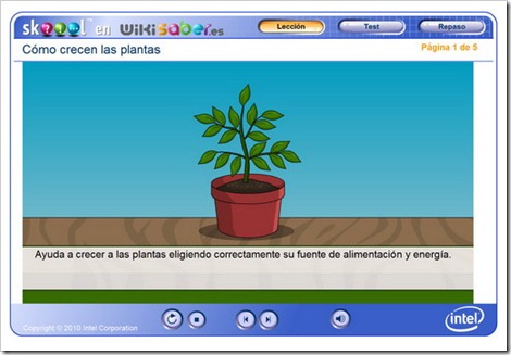 Cómo crecen las plantas