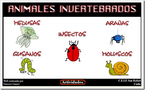 Animales _invertebrados