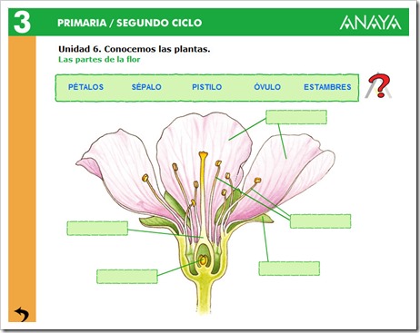 Image result for https://www.edu.xunta.es/espazoAbalar/sites/espazoAbalar/files/datos/1287558082/contido/cm007_oa04_es/index.html